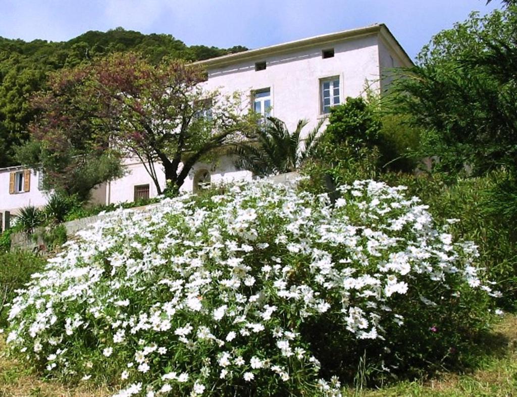 Casa A Rota Chambres D'Hotes Ersa Exterior foto